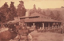 Mount Tamalpais Muir Woods Railway Mill Valley Train Railroad Vtg Postcard 16A picture