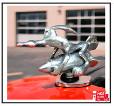 Coyote Trucks Hood Ornament Cartoon Vintage Car Ornaments Inspired picture