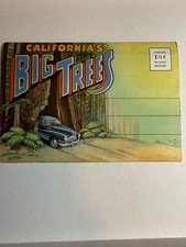 Vintage California’s Big Trees Souvenir Folder Redwood Sequoia Travel 1940s picture
