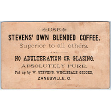 Vtg W Stevens Coffee Grocer Zanesville OH Victorian Trade Card Boy Girl Beach picture