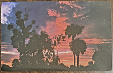 Miami Beach FL Florida Sunrise On The Florida Coast Chrome Postcard Unposted picture