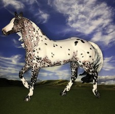 OOAK Breyer cm Custom Horse  Smart Chick Olena *Awesome Appaloosa * picture
