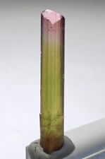 Wow beautiful terminated tourmaline   Bicolor Tourmaline Crystal picture