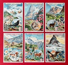 6 x advertising collectible picture Liebig's meat extract complete Series Switzerland (153646 picture