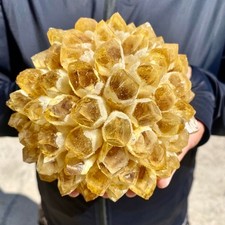 3LB Natural best yellow crystal ore cluster flower healing specimen picture