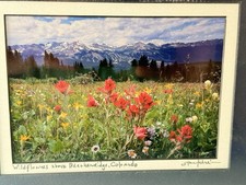Steve Tohari Signed Photo Wildflowers Above Breckenridge Colorado 8x10 Matted picture