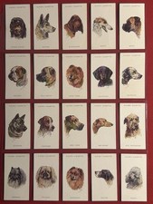 1930'S JOHN PLAYER DOG HEADS-VERY RARE UNISSUED FULL 50 CARD SET-VG+EX-MT-WOW picture