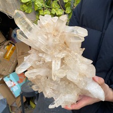 8.8LB A+Large Natural clear white Crystal Himalayan quartz cluster /mineralsls picture