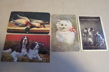 Vintage lot of 4 animal postcards,dogs,1910 cat,dead duck e-100 picture