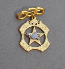 VINTAGE ODD FELLOWS DAUGHTERS OF REBEKAH MEDAL PIN picture