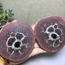 1 pair Natural Moroccan Turtle Back stone Cutting Energy specimen 733g A5651 picture