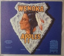 ORIGINAL CRATE LABEL VINTAGE AMERICAN INDIAN ARROWHEAD WENOKA 1940S WENATCHEE picture