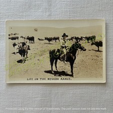 RPPC Cowgirl? Life on Nevada Range Cattle Ranching Western Postcard Vintage picture