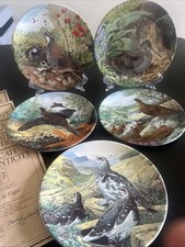 Vintage Royal Grafton Plates  W/Paperwork Pheasant Partridge Grouse Woodcock 5 picture