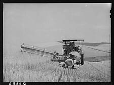 Wheat Farmer,Whitman County,Washington,WA,Farm Security Administration,FSA,17 picture