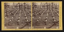 Photo:Arlington National Cemetery Virginia 1867 Bell & Bro. Stereoview picture