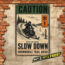 Vintage Snowmobile Riding Winter Sport Metal Sign Retro Outdoor Wall Art picture