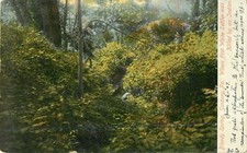 1907 Bloody Spring, Sunbury, Pennsylvania Postcard picture