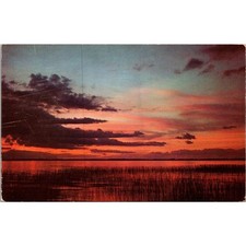 A Roseate Sky End of Day O'er The Reed Bed Postcard PC169 picture