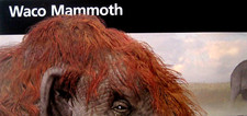 Waco Mammoth National Monument National Park Service Unigrid Brochure Map picture