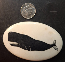 Vintage Sperm Whale Pinback Button Marine Life Ocean Nautical Animal Badge 1970s picture