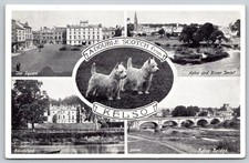 Vintage Multi-View Postcard of Kelso Scotland with Westie Dogs 1961 C341 picture