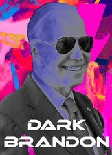 Joe Biden Political Trading Card Dark Brandon  #DB picture