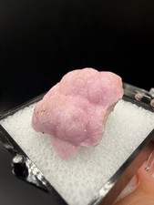 Botryoidal Pink Cobalto Calcite on Matrix (Thumbnail) - Bou Azzer, Morocco picture