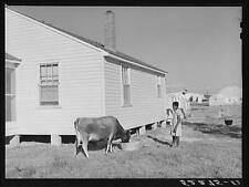Belzoni,Mississippi,MS,Humphreys County,Farm Security Administration,FSA,5 picture