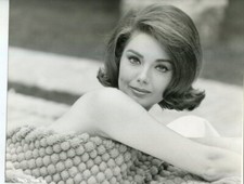 Sylva KOSCINA Belle Original Photograph 24*18 by Georges COURTNEY WARD picture