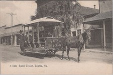 Rapid Transit Mule Horsecar Palatka Florida FL Depots Rotograph 1900s Postcard picture