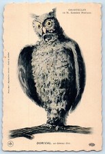 c1905 Owl Suit Fantasy Chantecler M. Edmond Rostand Antique Unposted Postcard picture