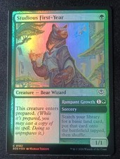 MTG Secrets Of Strixhaven - Studious First Year - Foil picture