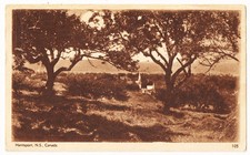 Nova Scotia Canada Hantsport Antique Postcard picture