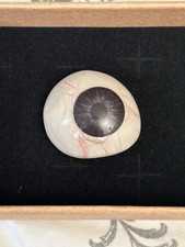 Antique Hand Blown Glass Prosthetic Eye Ocular Prosthesis Oddity Medical 1900s picture