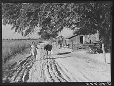 Belzoni,Mississippi,MS,Humphreys County,Farm Security Administration,FSA,2 picture