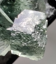 Fluorite crystals, gorgeous specimen Xianghauling, Hunan, China. 3 cm. picture