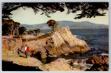 c1960s Seventeen Mile Drive Monterey Midway Point California Postcard picture