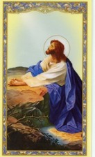 I SAID A PRAYER FOR YOU TODAY - Laminated  Holy Cards.  QUANTITY 25 CARDS picture