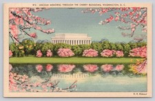 Vintage Lincoln Memorial Cherry Blossoms Postcard 1947 Washington DC picture