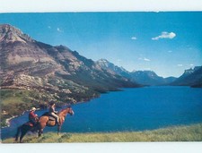 Pre-1980 HORSES AT THE LAKE Waterton Lakes - Near Lethbridge Alberta AB F3205 picture