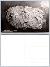 Ilha Terceira Azores Relief Map Postcard picture