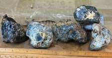Blue appetite rough 1 kg picture