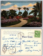 Vintage Daytona Beach FL Waterfront Park Tropical Trail Postcard 1949 E.C. Kropp picture