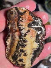 Dendrites Crazy Lace Agate Laguna Banded Agate Tuxedo Agate Chihuahua Mexico  picture