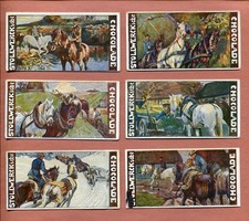 1900 STOLLWERCK'S CHOCOLADE VICTORIAN HORSES BILD 6 DIFFERENT TOBACCO CARD LOT picture