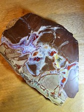 Rare And Unique agate Jasper In Dinosaur Coprolite Specimen 308g picture