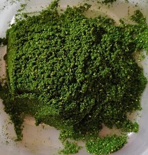 Rosemary Incense Powder 1oz - Luck, Protection, Spiritual (Purifying, cleansing) picture