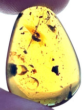 9cts Certified 90 Million Year Old Burmese Amber Cabochon picture