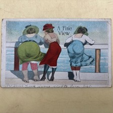 1919 A Fine View Postcard picture